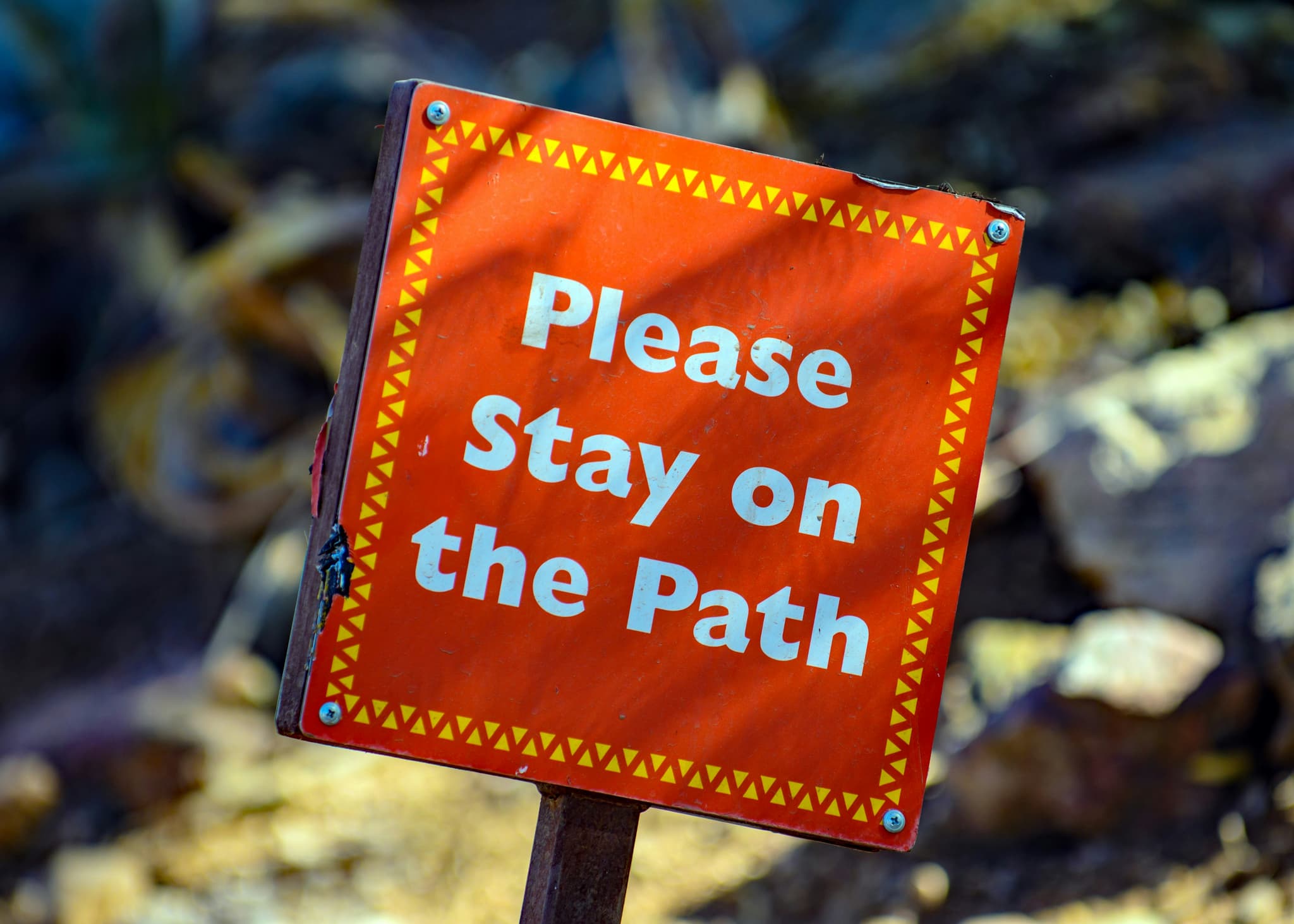 Digital consent